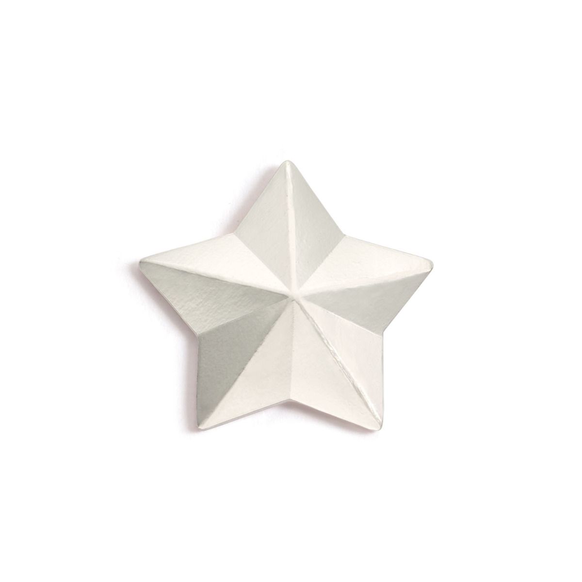 emblème étoile argentée grand modèle