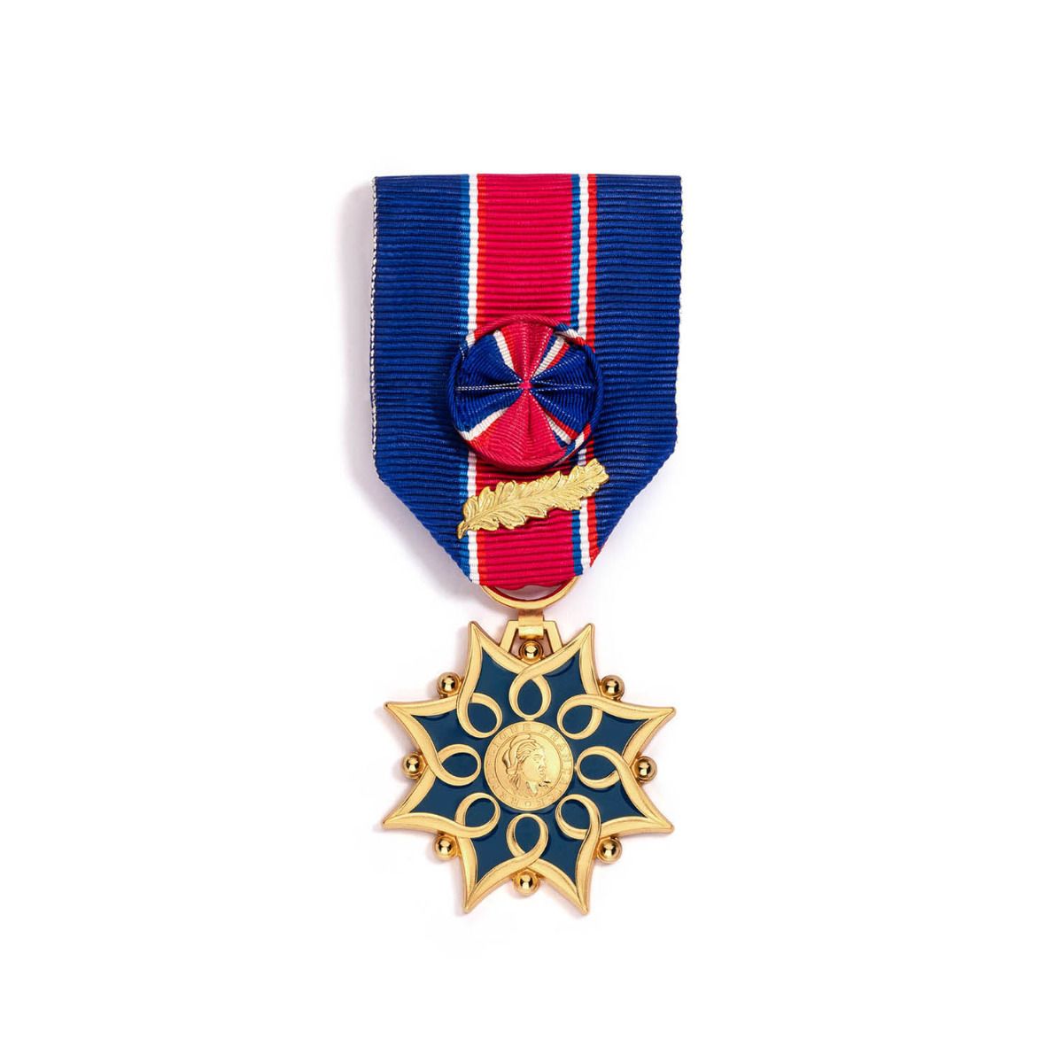 Médaille d'Honneur de la Santé et des Affaires Sociales - Échelon Or face