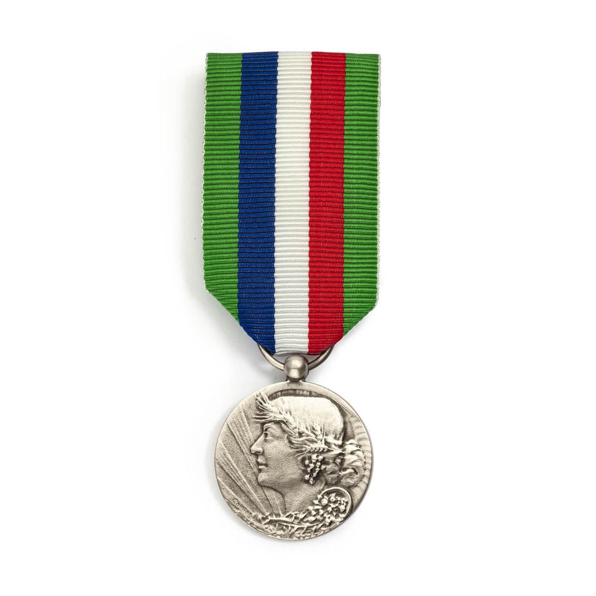 Médaille du Travail Agricole 20 ans - Échelon Argent en argent massif face