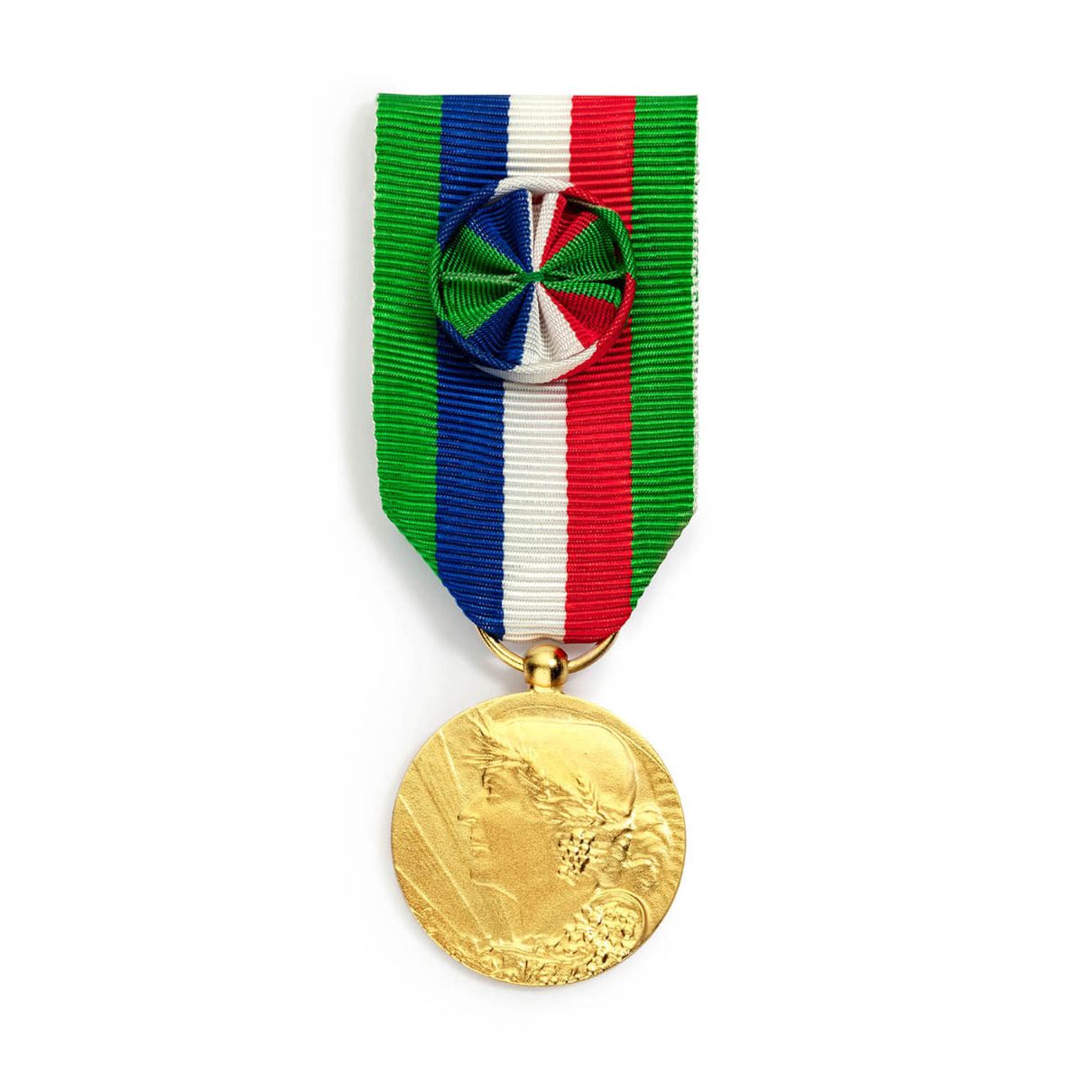 Médaille du Travail Agricole 30 ans - Échelon Vermeil en argent doré face