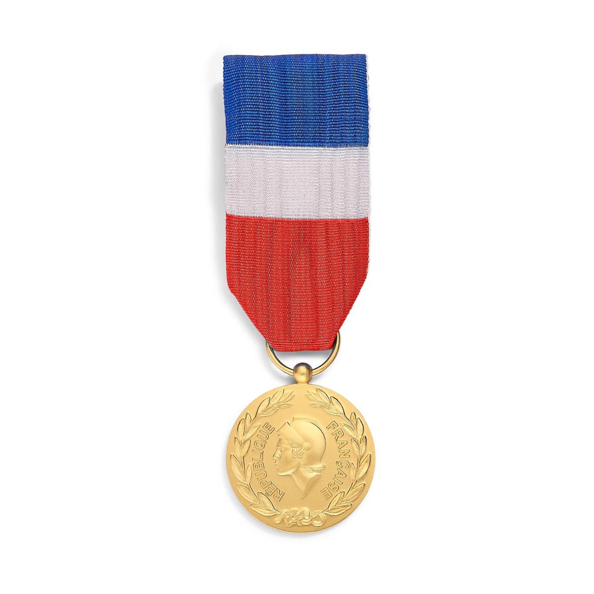 médaille défense terrestre échelon or