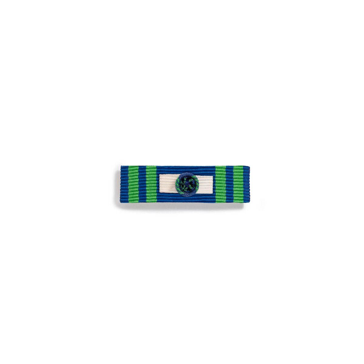 Dixmude Mérite Maritime Commandeur