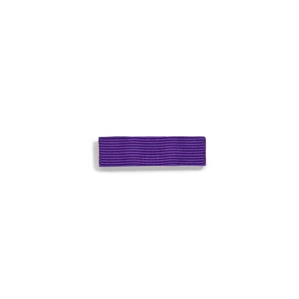 Dixmude des Palmes Académiques pour Chevalier