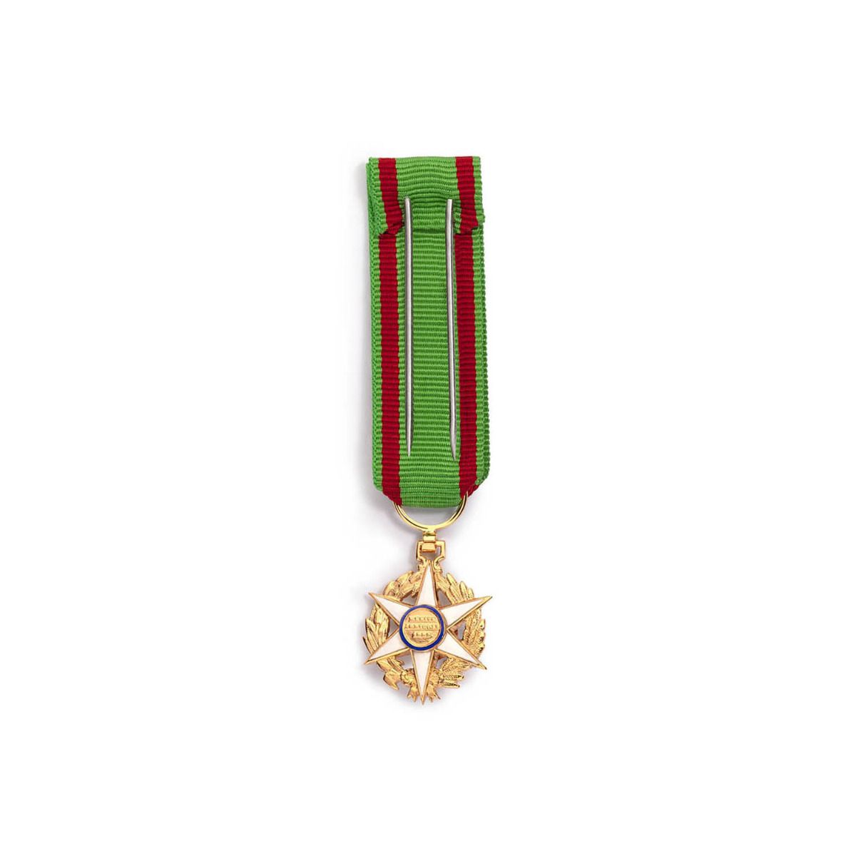 Miniature du Mérite Agricole Chevalier en Argent revers