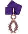commandeur palmes académiques